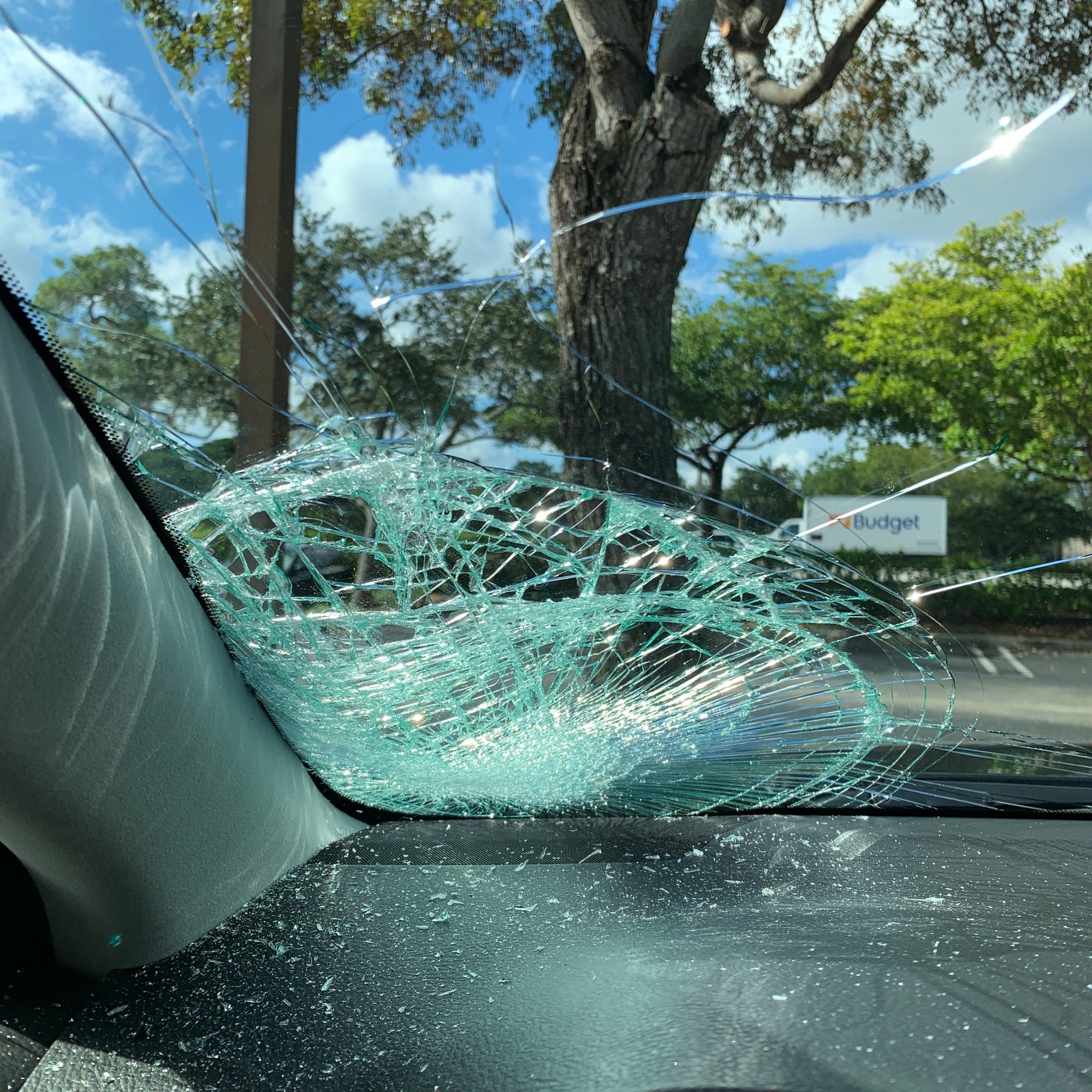 Fly in with a duck! Windshield replacement inquiry - ClubLexus - Lexus