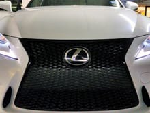 Front Grille Wrap