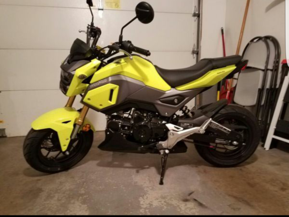 The wife's 2017 honda grom 125cc, her learning tool