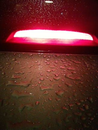 Third brake light assembly with red color filters is uniform and illuminates true red as with LED's