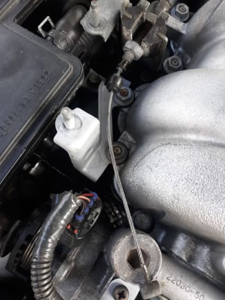 Accelerator cable, disconnected from throttle body.  Rubber seal at ferrule removed. 