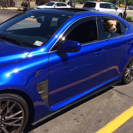 All the new carbon accessories - and my dog for proof it's a practical vehicle