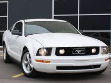 3rd Mustang was a 2008 Premium Pony v6. It looked this way until it was reborn as a Shelby GT500 tribute.