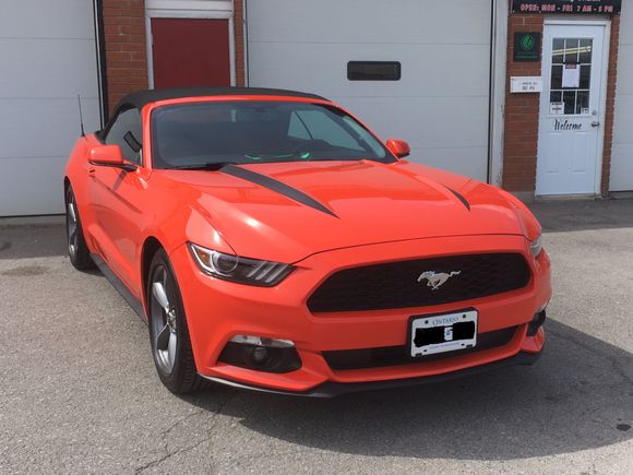 Just had her ceramic coating and hood stripes applied.