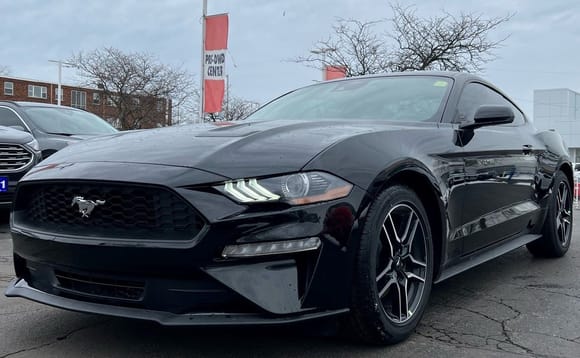 New 2022 Premium Ecoboost  purchased in March 2023.