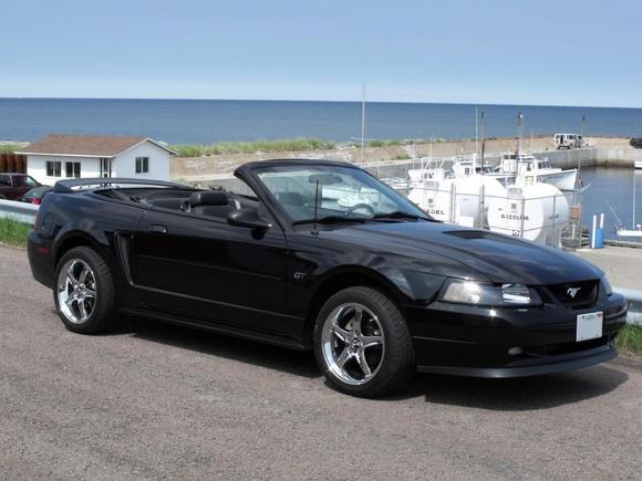 2000 Mustang GT Convertible