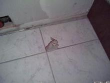 floor