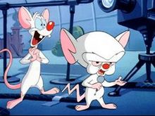 pinky and the brain