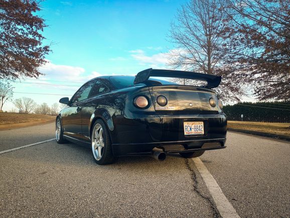 Big wang >>>