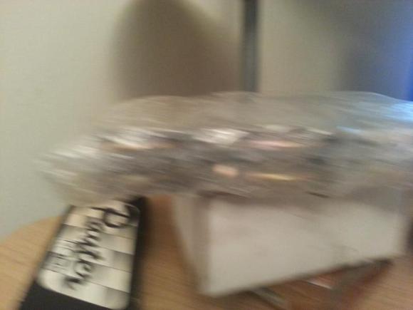 tbolt package