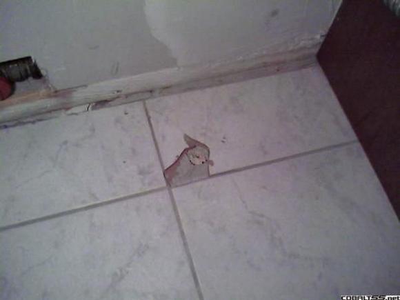 floor
