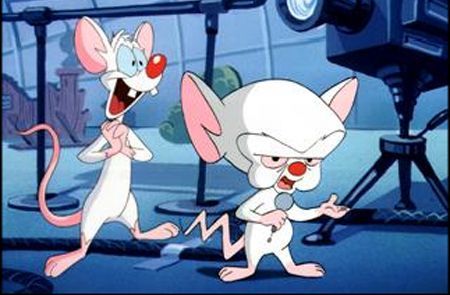 pinky and the brain