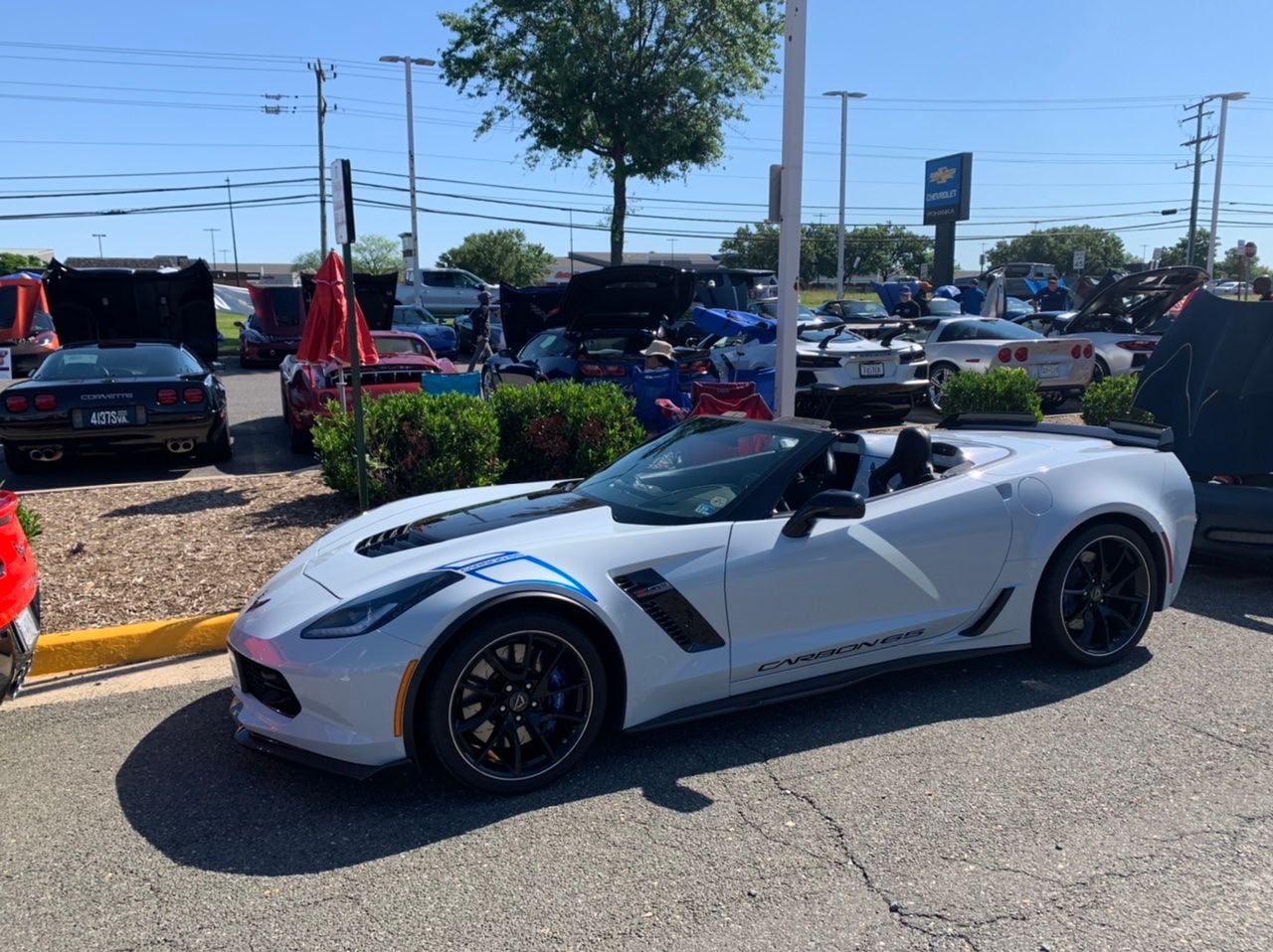 (Corvettes for as far as one can see) Corvette Show pics from a ...