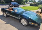 91 Polo Green Conv