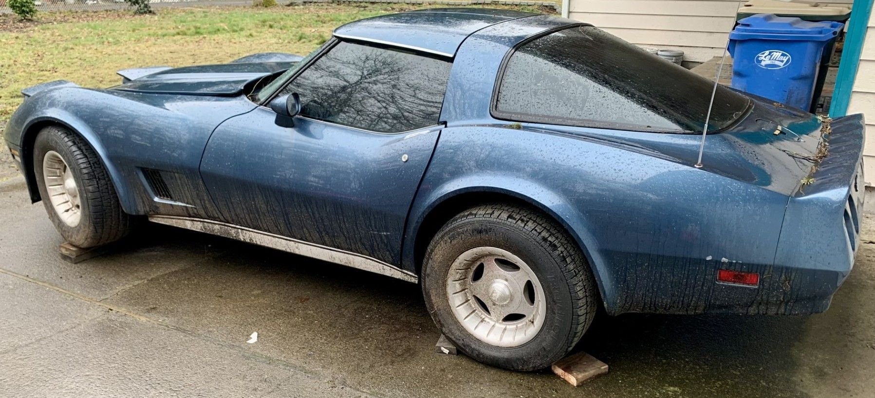 Photo from when I first got it home. Its been since washed, and brought inside. 