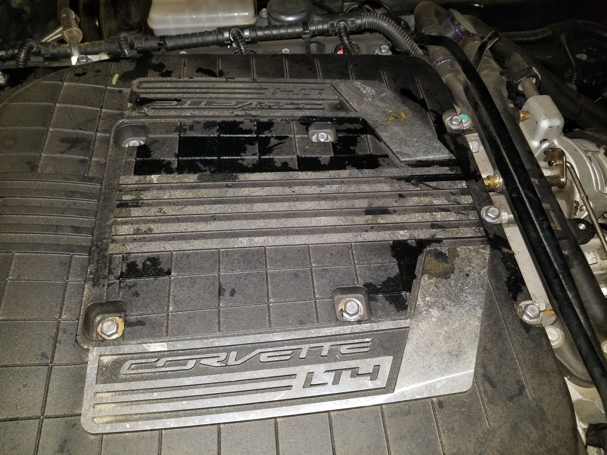 Oil spraying all over my engine compartment, anybody else had this