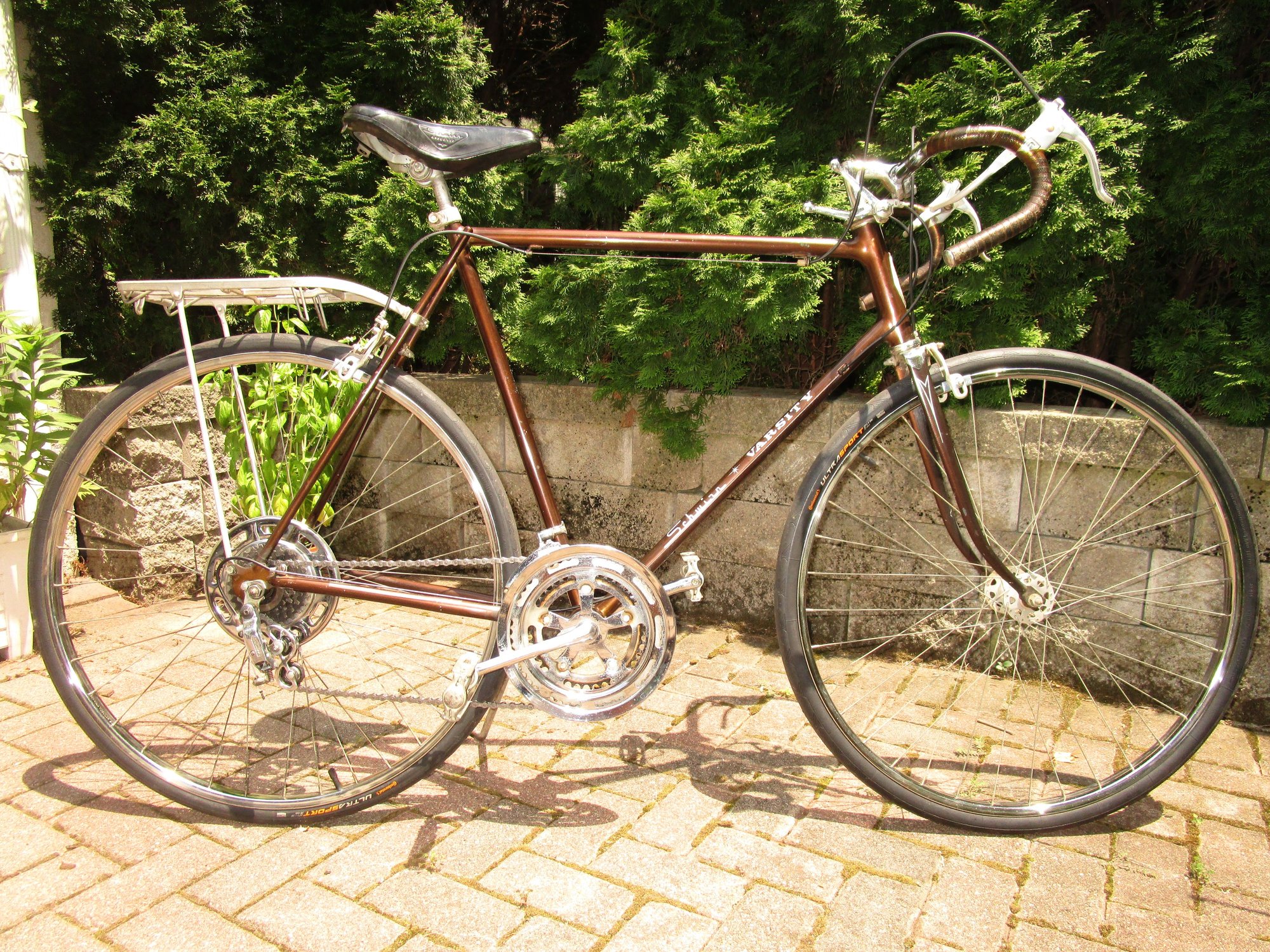 schwinn varsity brown