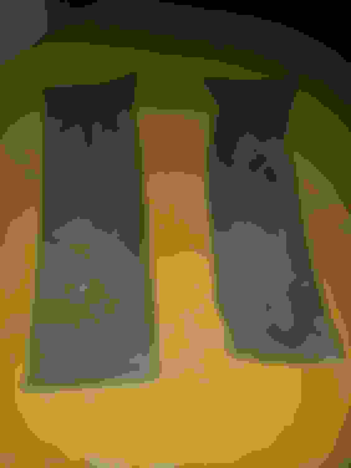 Will dual Walbro 450 pumps fit RSI Fuel Hanger? CorvetteForum