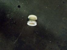 Fitup of rings on the nipple