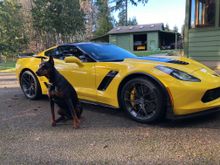Car with Athena - yes, my 105lb Dobie rides shotgun with me! She's a service dog who helps out her wheelchair using owner!