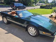 91 Polo Green Conv