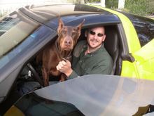 My previous Dobie, Anubis.