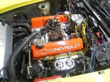 Corvette 481