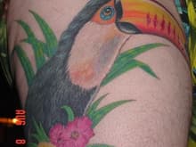 Toucan on my right thigh