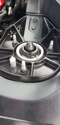 Nipple cover installed 