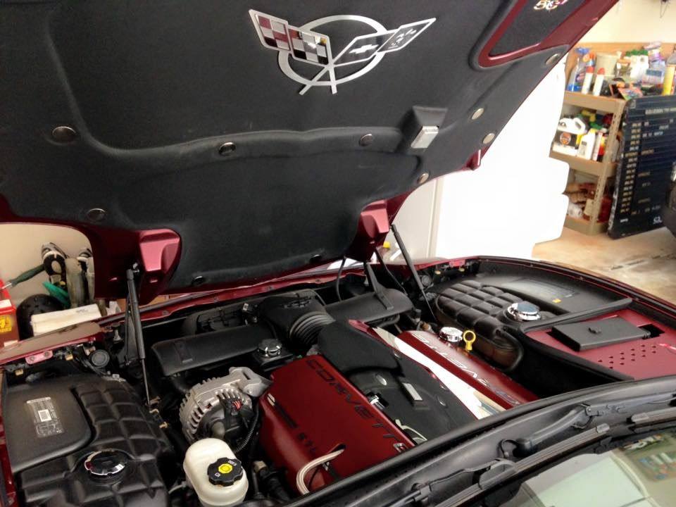 Engine Painted and Dress up kits Page 2 CorvetteForum Chevrolet