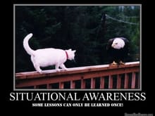 Situational Awareness2 808