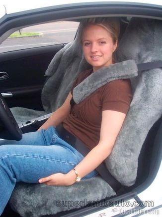 Chrysler Crossfire Seat Cover