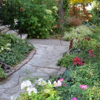 garden path (october)