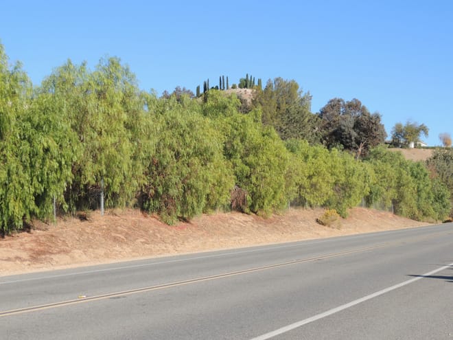 This is a shot of the property from the main road below... it turns out one can see this hill and trees from nearly 2 miles away on the freeway... it is probably one of the most visible properties in the entire town.