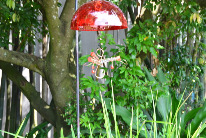 Humming bird feeder in bird display.