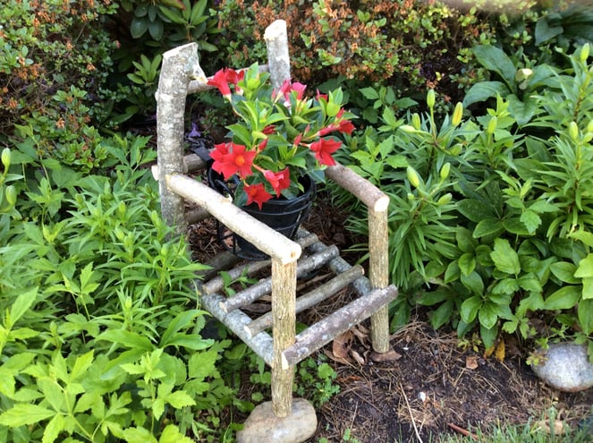 homemade twig chair flower holder with dipladenia plant