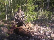 07 Archery Elk, Utah.