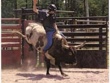 wyatt bull riding 1