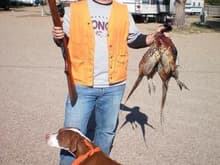 Pheasant hunt 1