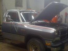 1991 donor