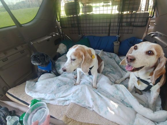 Mocha, Len and Charlie