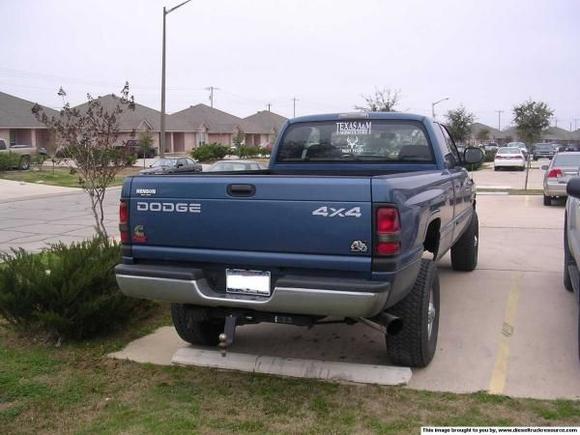 Dodge back