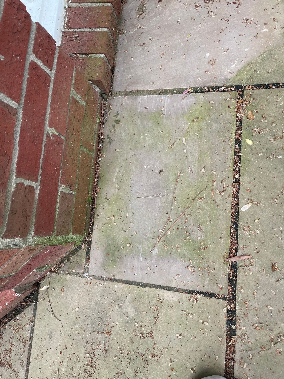 Natural stone patio cleaning help Community Forums