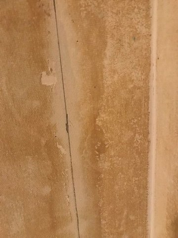 Wallpaper backing paper won't come off Community Forums