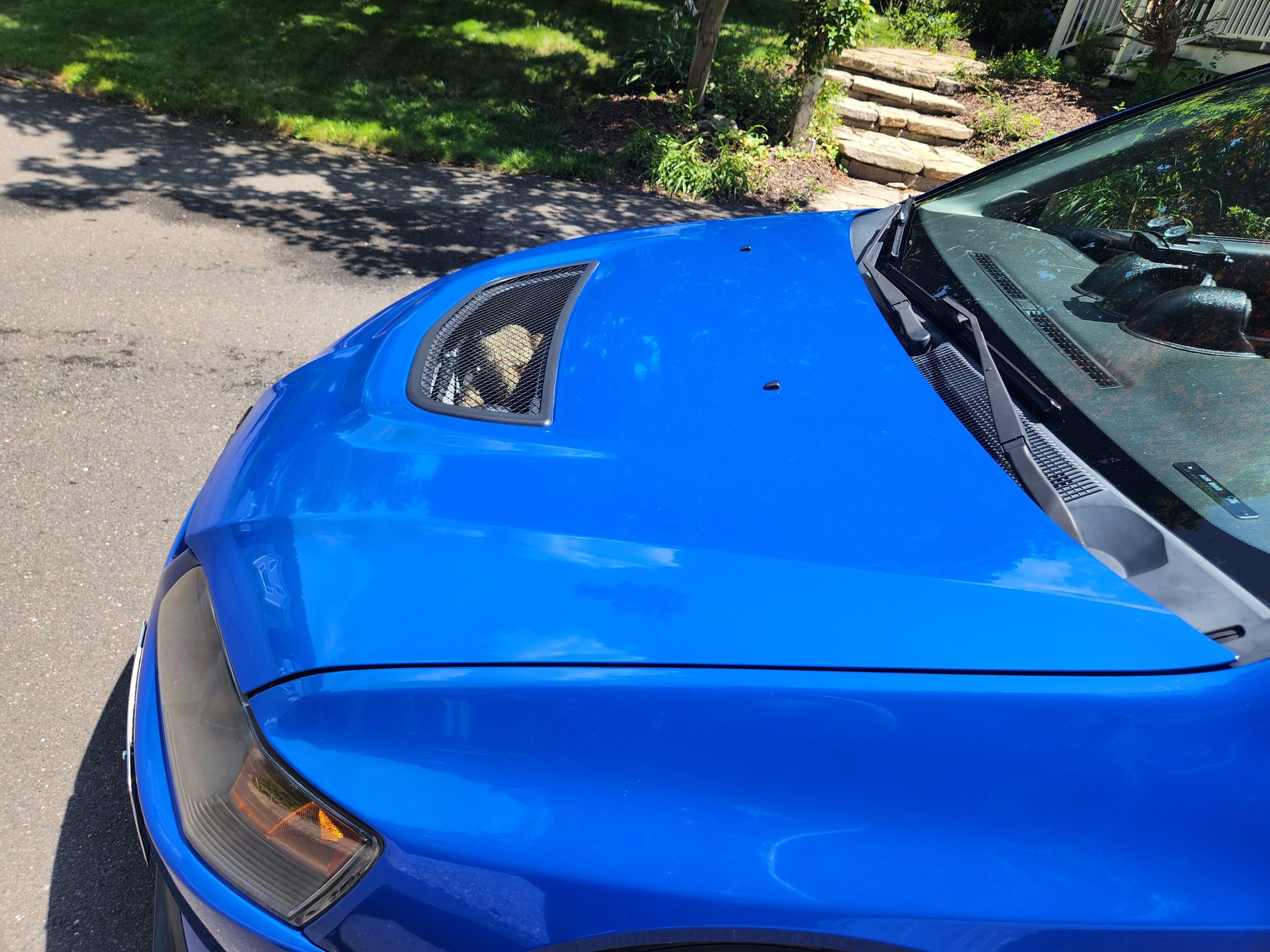 2003 Mitsubishi Lancer Evolution - Evo VIII Built Engine & Drivetrain. 43k miles, 2k miles on build - Used - VIN JA3AH86FX3U086808 - 43,000 Miles - AWD - Manual - Sedan - Blue - Watertown, CT 06795, United States