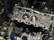 L19 head studs installed into block hand tight with molylube.  Block mating surface thoroughly cleaned with brake cleaner and compressed air.