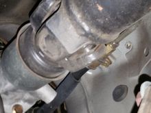 Facing front of car from under cat.