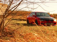 My Post Pictures