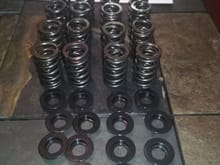full set of Supertech dual valve springs w titanium retainers $200