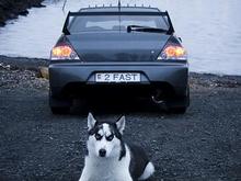 My Evo &amp; My Panda